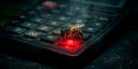 Медовый капкан: исследуем атаки группировки Hive0117 на бухгалтеров компаний в России и странах СНГ
