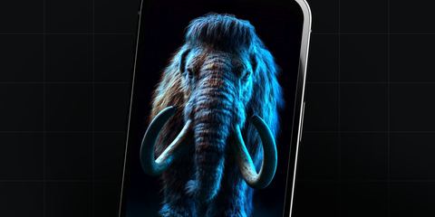 Mamont вышел на охоту: разбираем новую версию Android-трояна