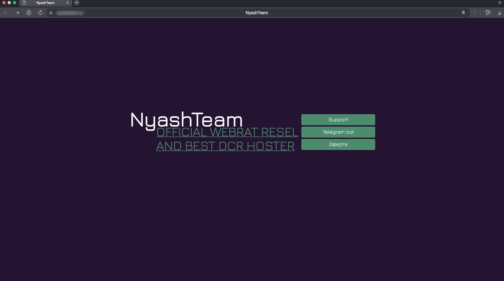 Рисунок 1. Веб-ресурс группировки NyashTeam