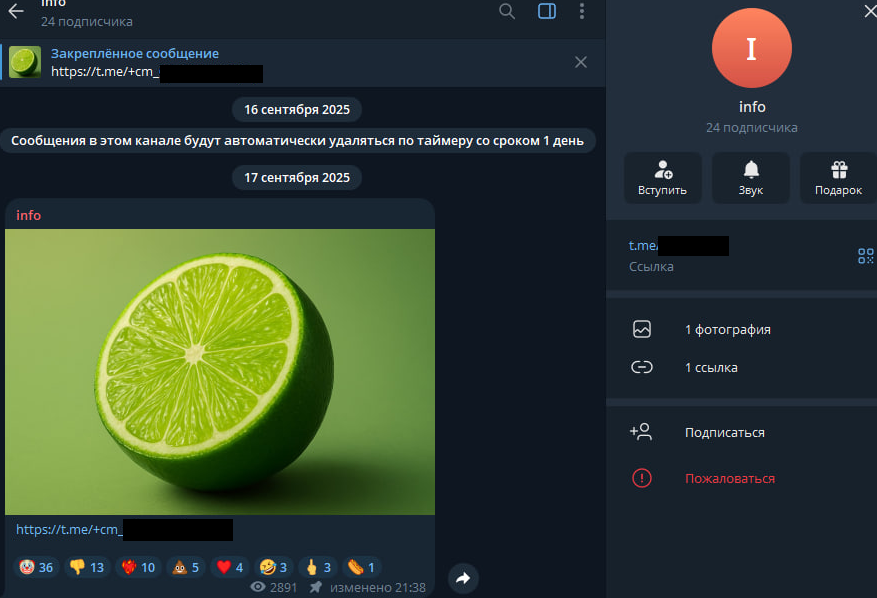 Рис. 11 — Скриншот Telegram-канала, на который ведёт ссылка из профиля @Lime***