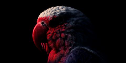 Битва за контент: почему пиратство остаётся заметным и как бизнес теряет выручку