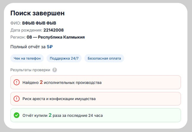 Ещё один результат фейковой проверки с бессмысленными данными: «2 исполнительных производства» и «риск ареста имущества»